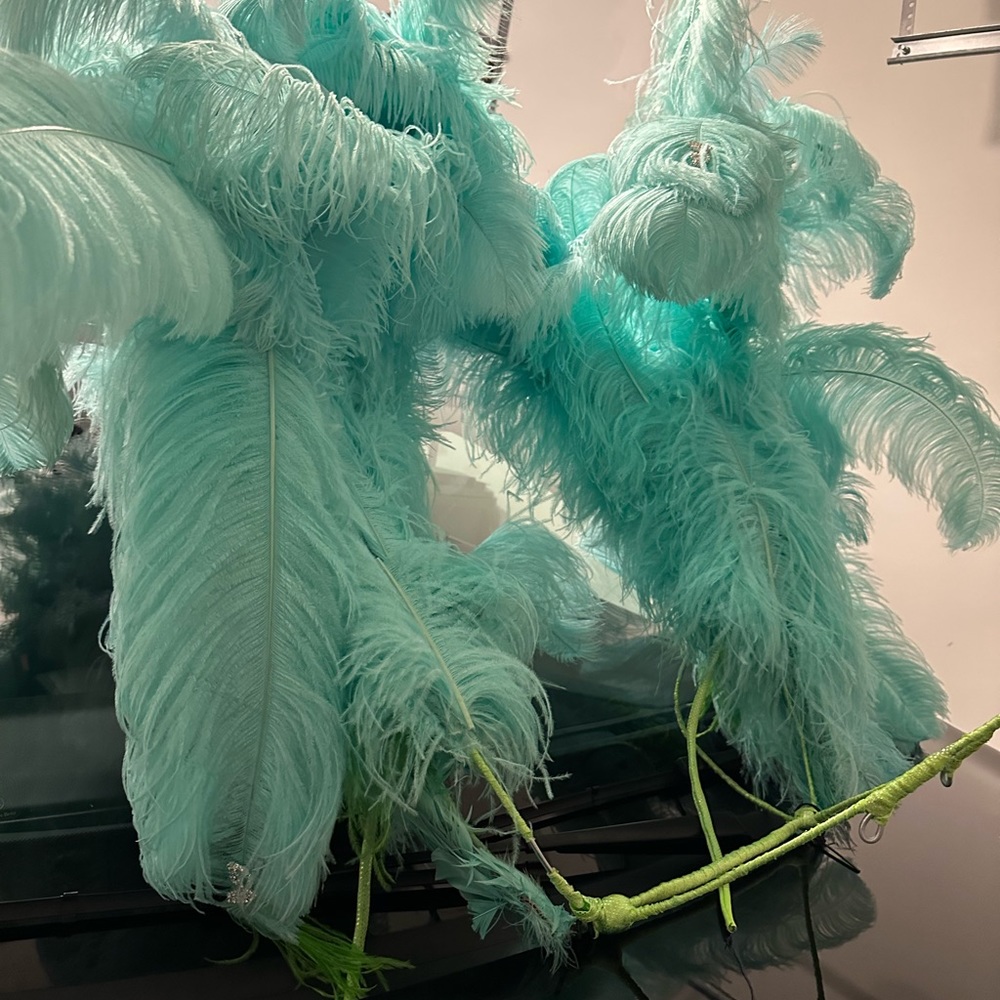 Carnival/Cosplay Costume Wings